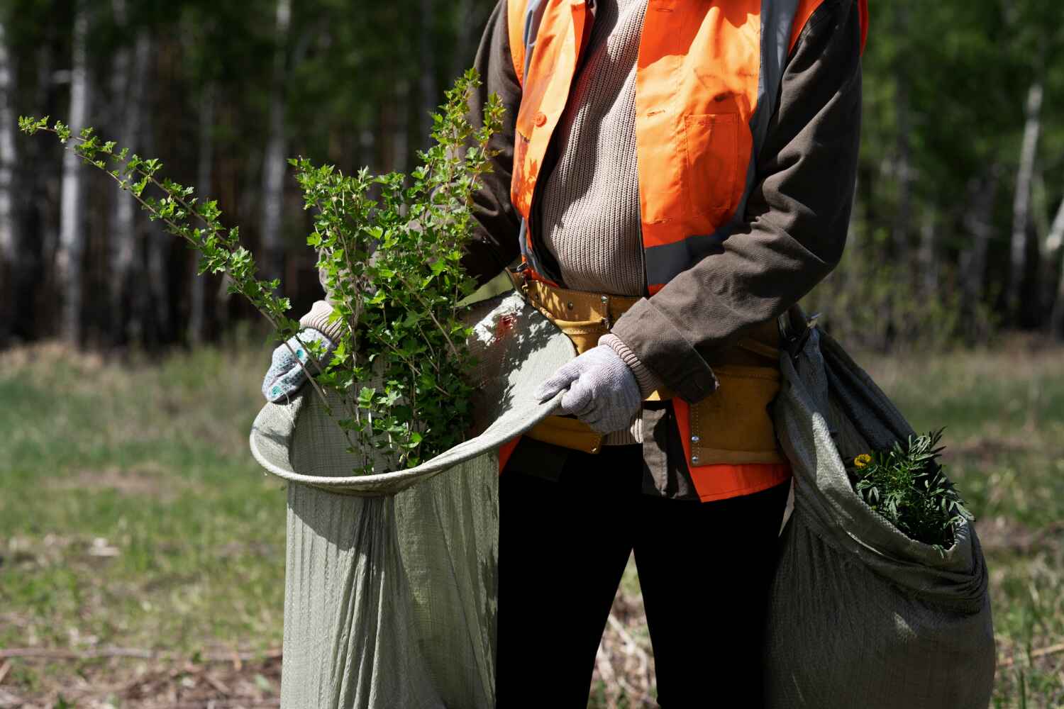 Best Commercial Tree Services  in USA